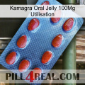 Kamagra Oral Jelly 100Mg Use 06